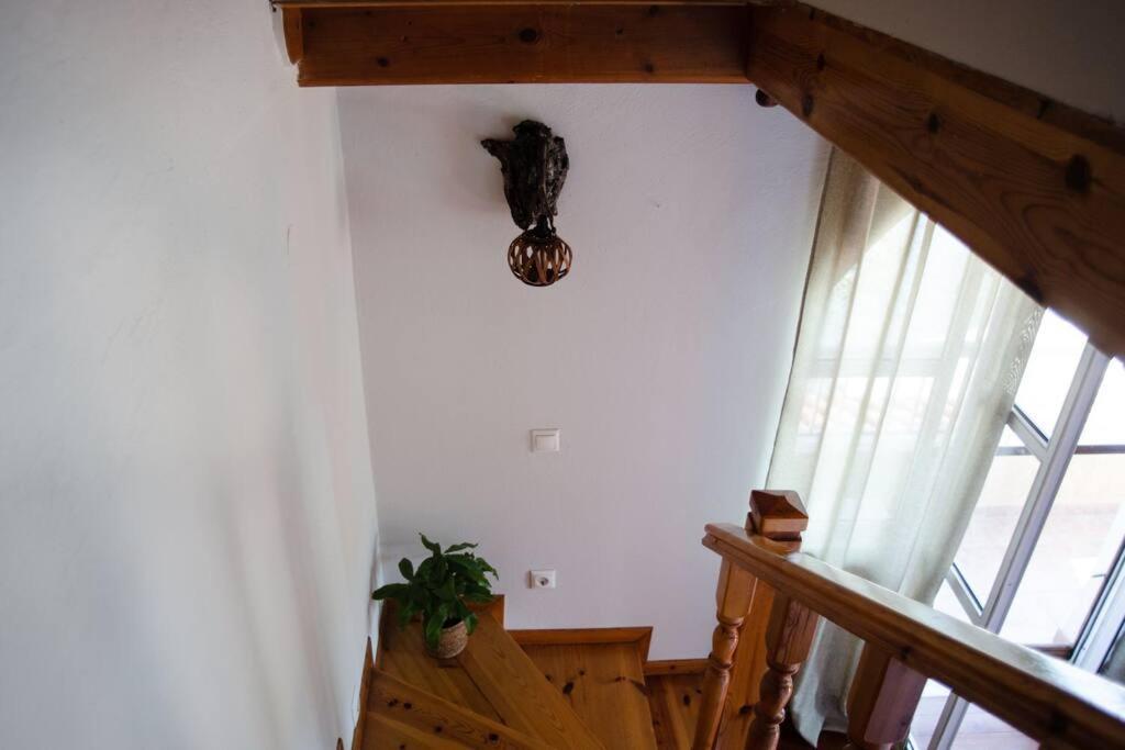 Kohyli Beachfront House Agia Pelagia Chlomou Eksteriør bilde