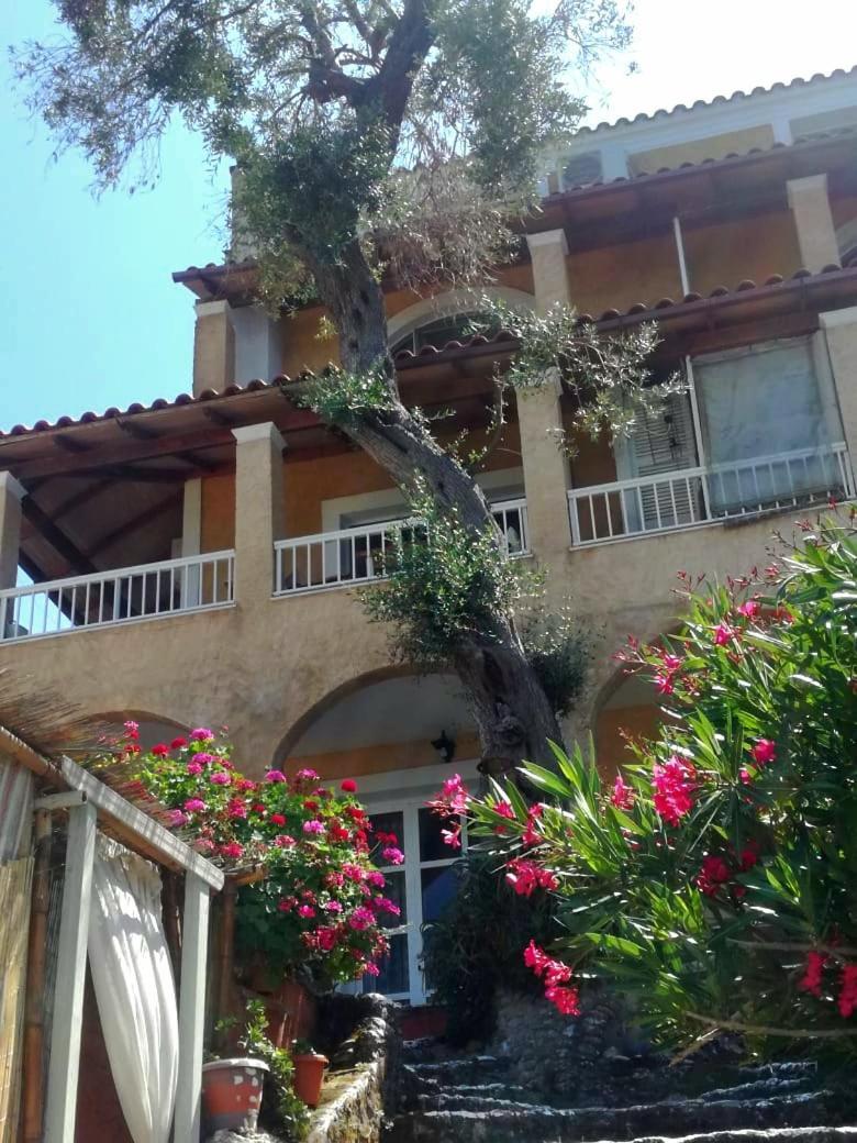 Kohyli Beachfront House Agia Pelagia Chlomou Eksteriør bilde